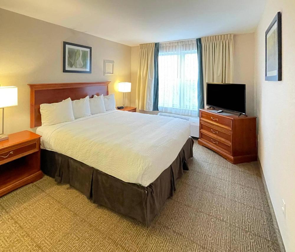 Accessible One Bedroom King Suite   interior